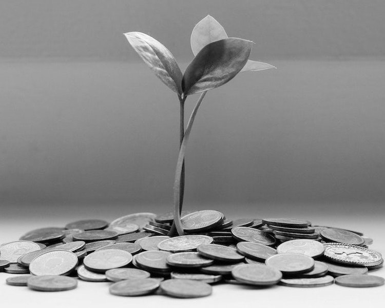 investing in your team