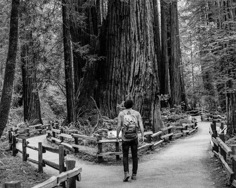 Making a decision on which path to take